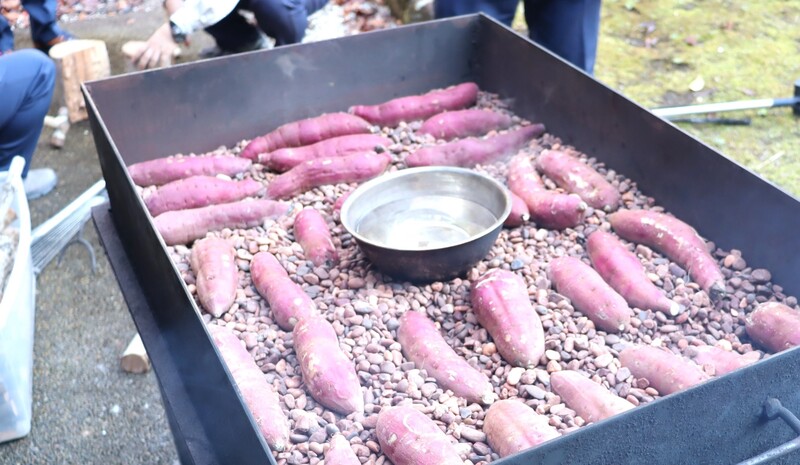 IMG_885701.JPGのサムネイル画像