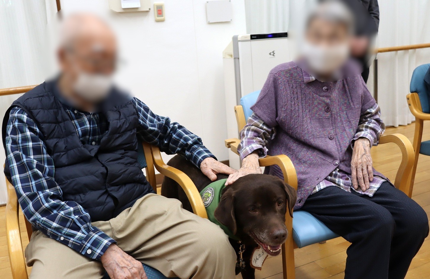 癒しのドッグセラピー