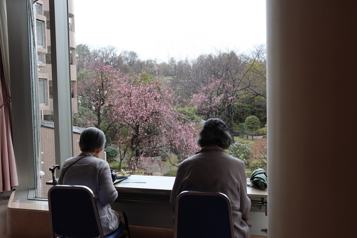 お花見昼食会