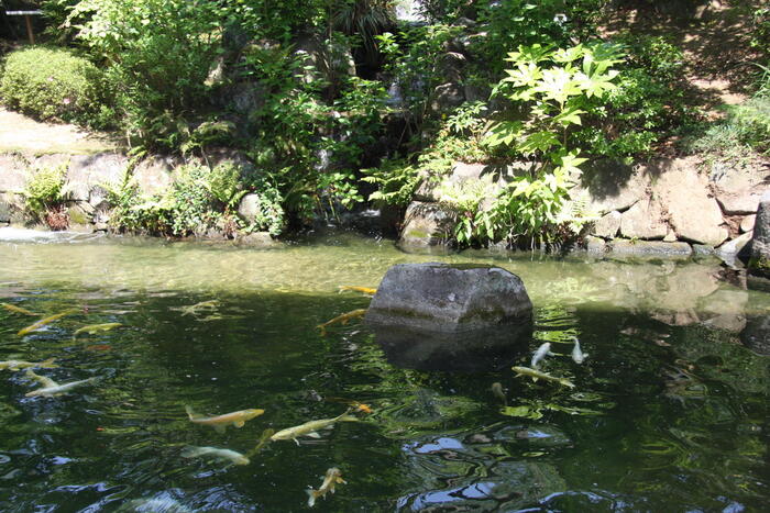 IMG_2999.JPG