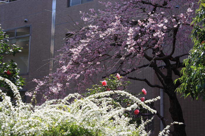 IMG_3279.JPG