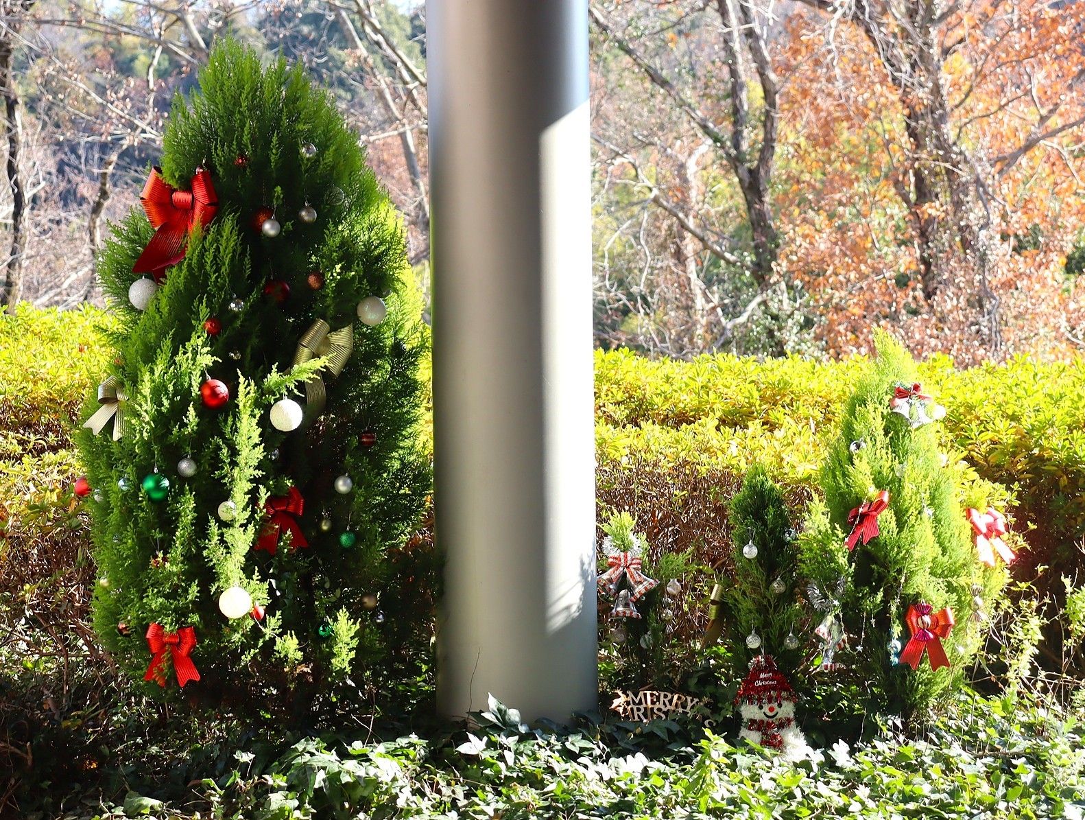 クリスマスの装い