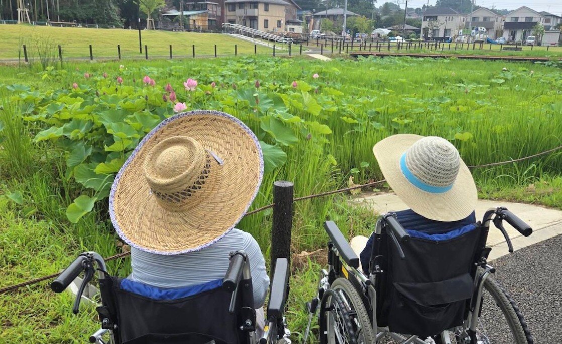 ハス　後ろ姿.JPG
