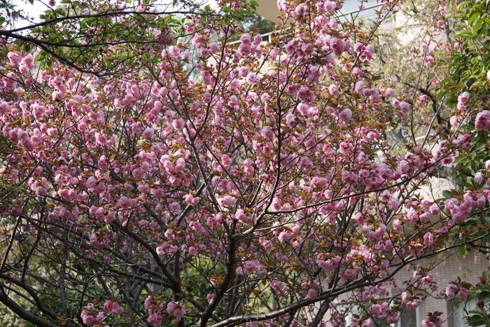IMG_0052.JPG