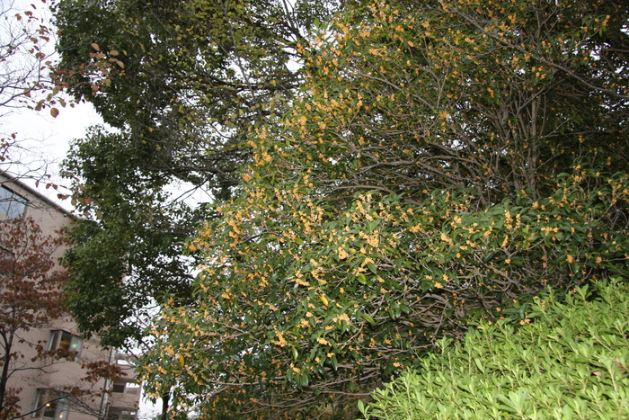 IMG_3284.JPG