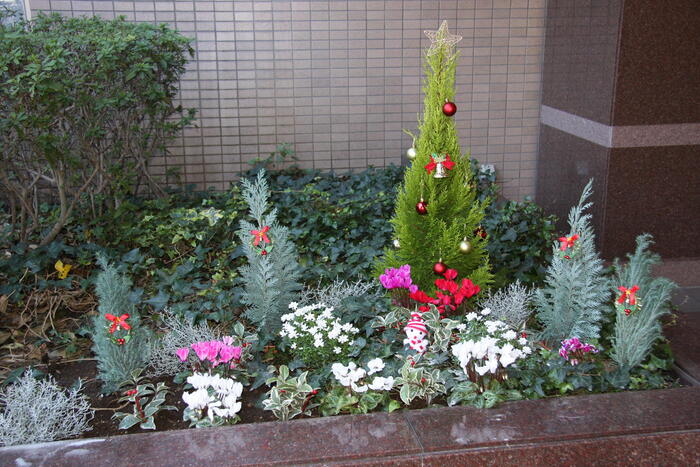 IMG_3285.JPG