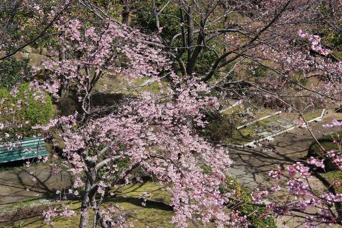 IMG_3304.JPG