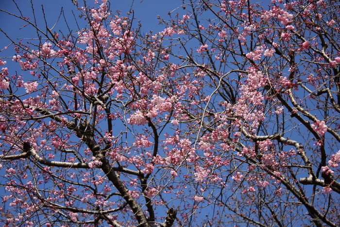 IMG_3363.JPG