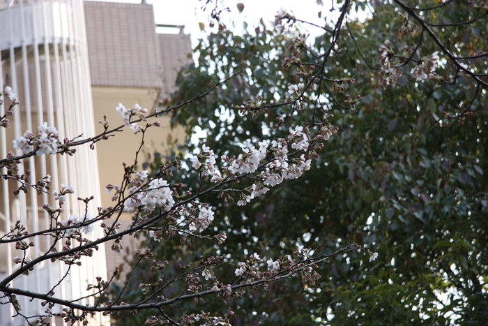 IMG_3382.JPG