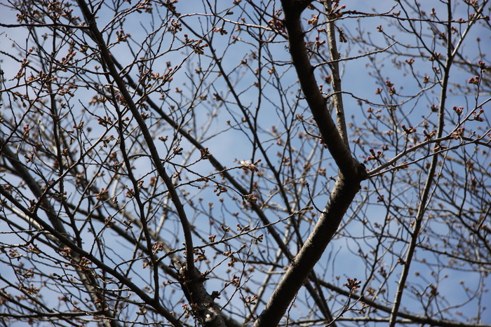 IMG_3385.JPG