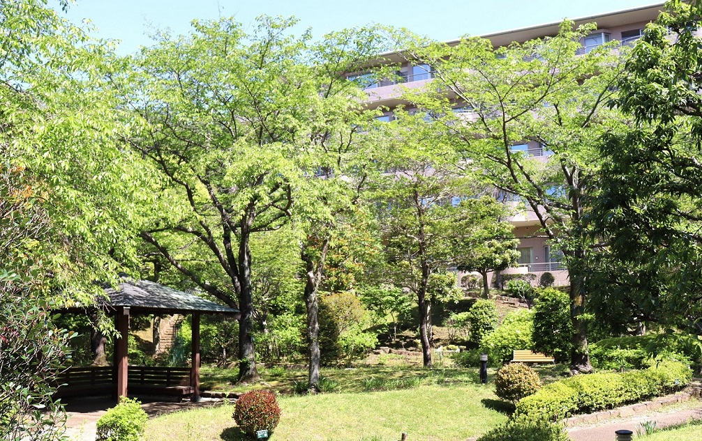 中庭散歩