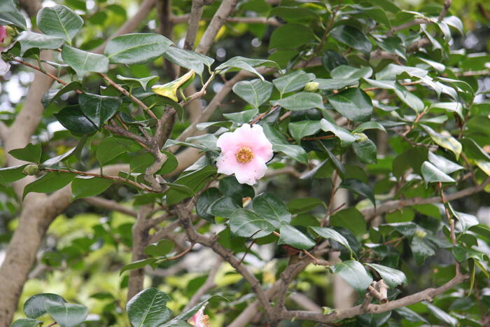 IMG_3433.JPG