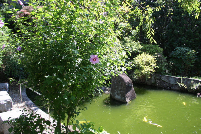 IMG_3749.JPG