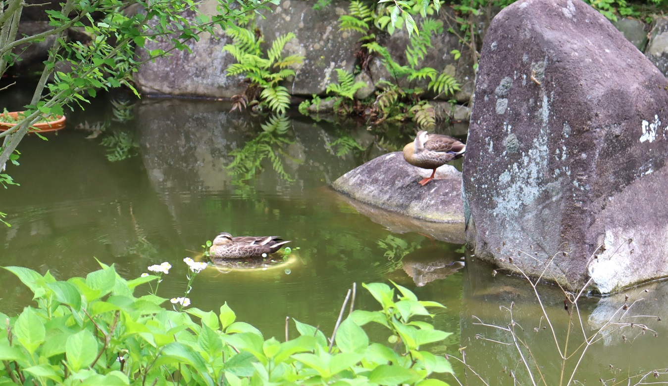 新居探し？
