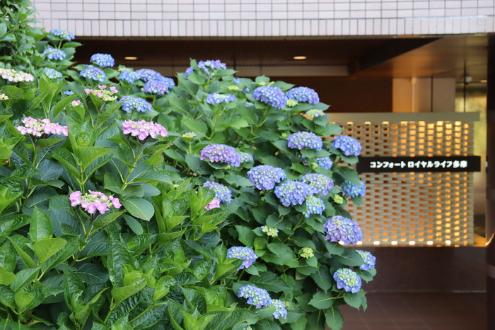 一足早く