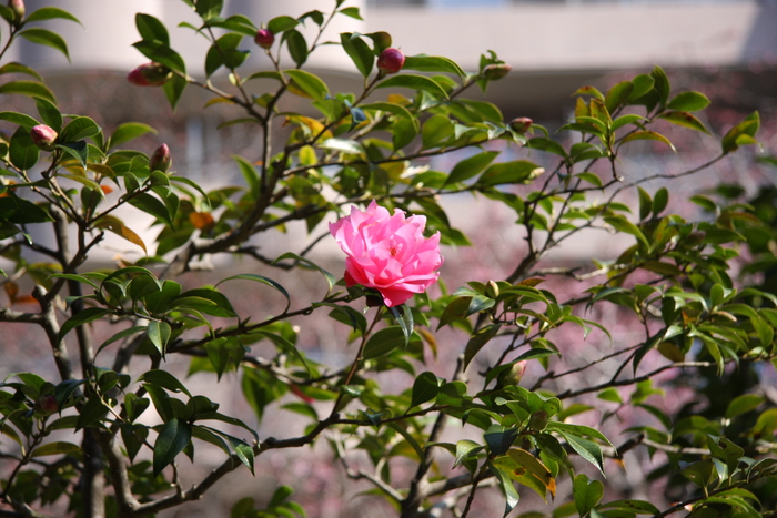 IMG_3360.JPG