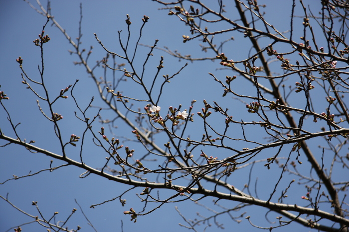 IMG_3399.JPG